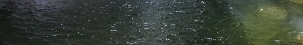 浄化の井戸　-クレーム対応解決の井戸-